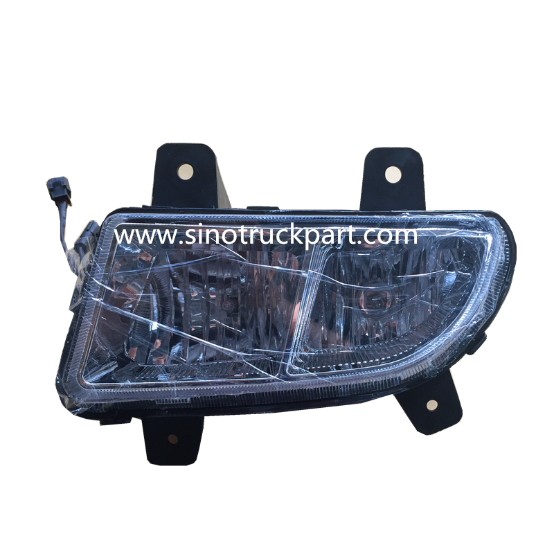 Pièce de rechange SINOTRUK HOWO WG9719720025 Ensemble de lampe