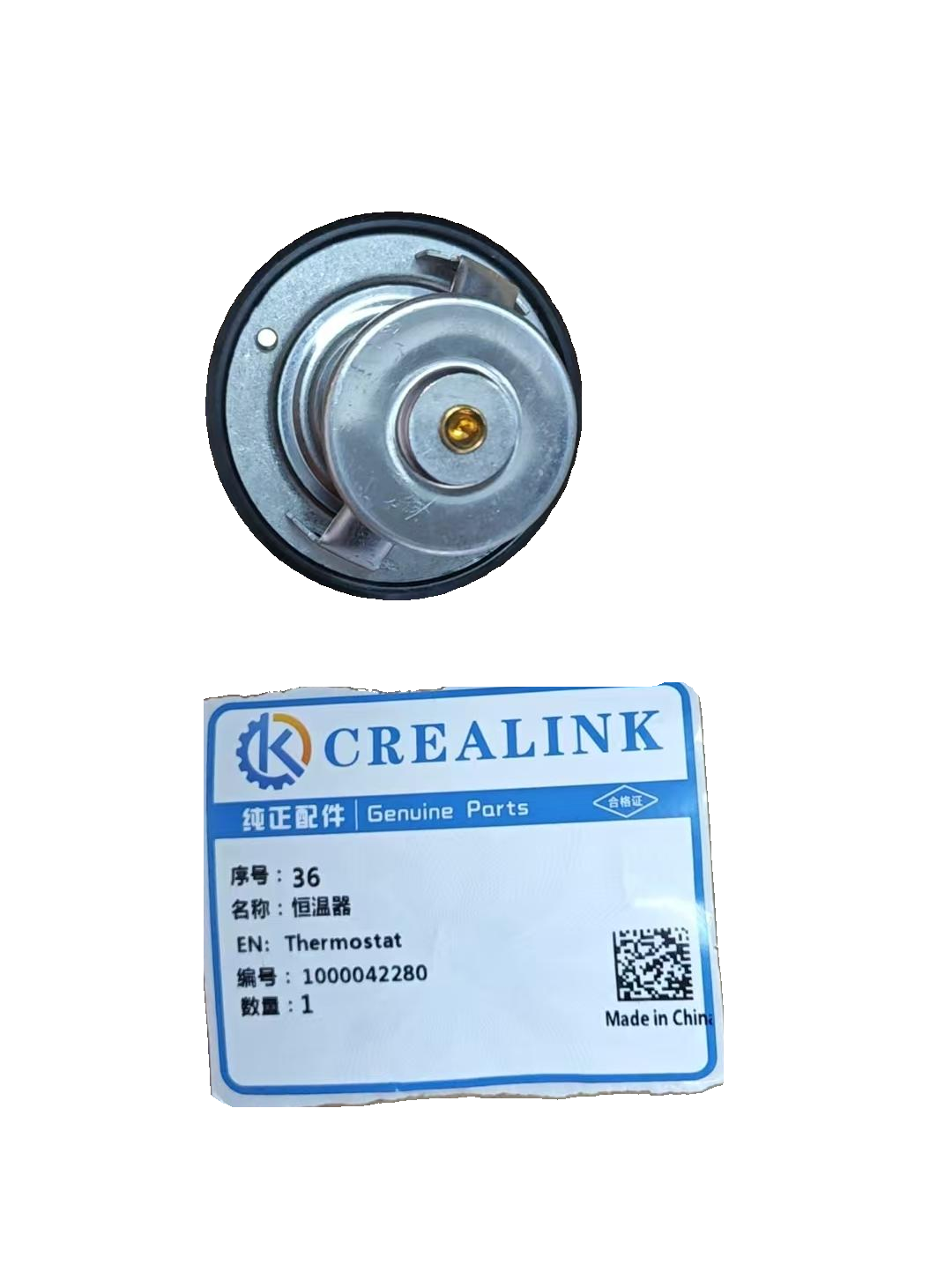 Thermostat 1000042280