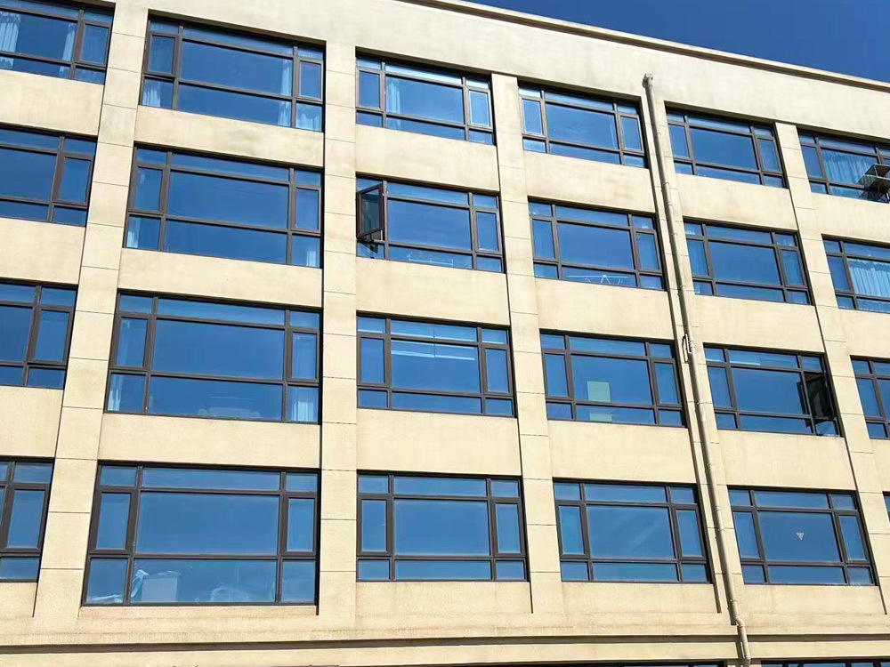 Company Profile