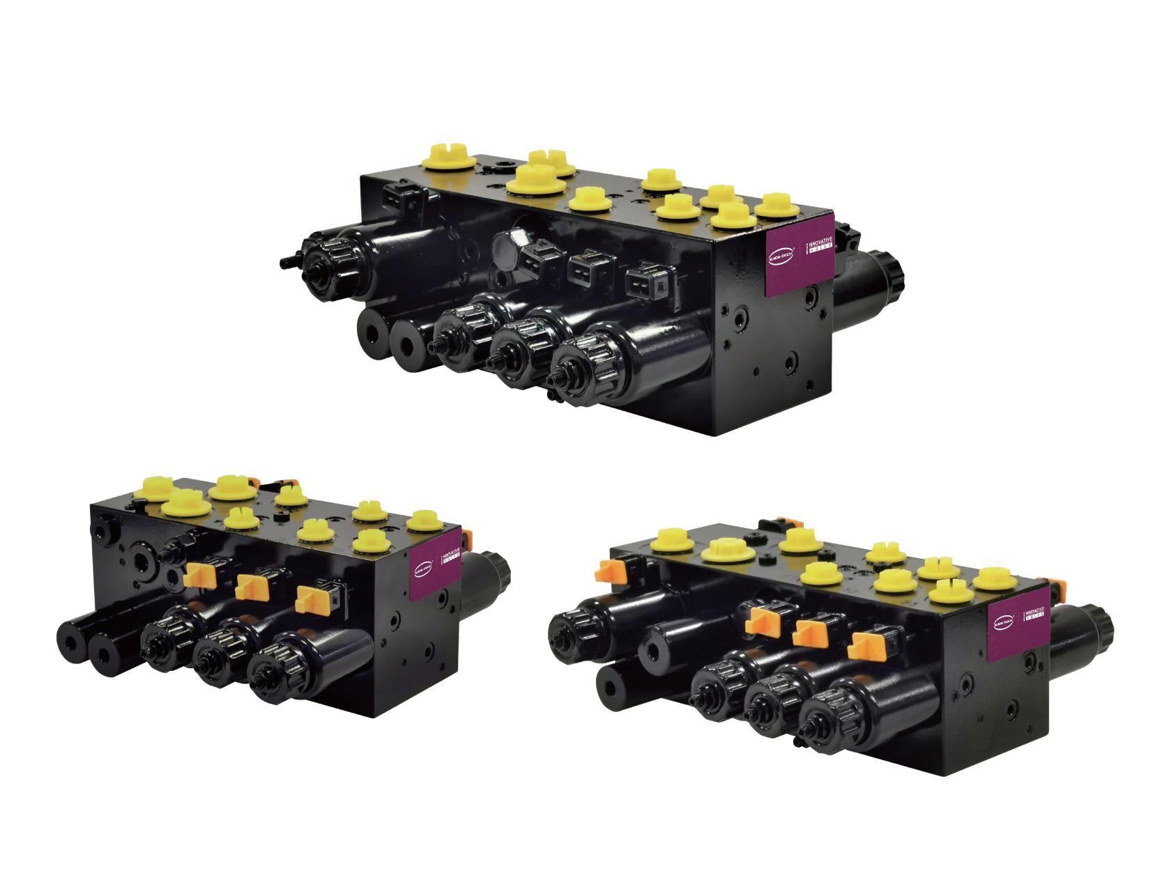 Forklift multi-valve