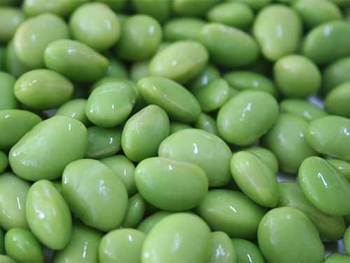 Organic Frozen Shelled Edamame