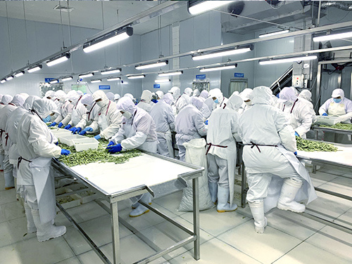Factory Factory