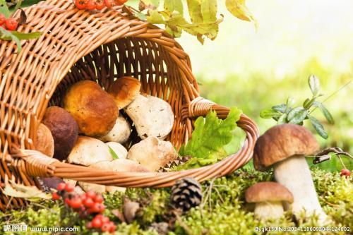 FDA Releases Food Safety and Nutrition Survey Results