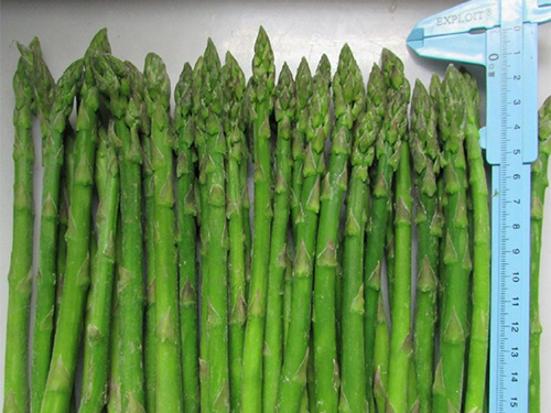 Organic Frozen green asparagus