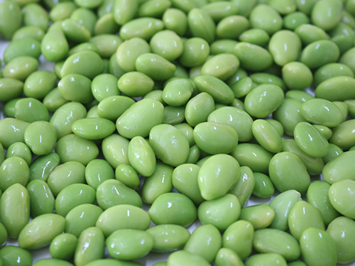 Organic Frozen Shelled Edamame