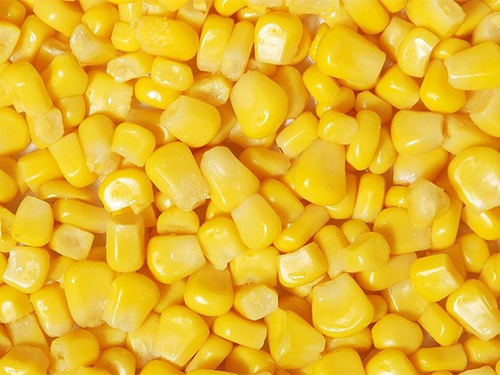 Organic Frozen Sweet Corn Kernels