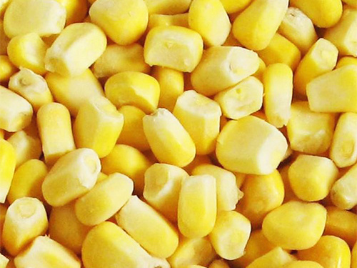 Organic Frozen Sweet Corn Kernels