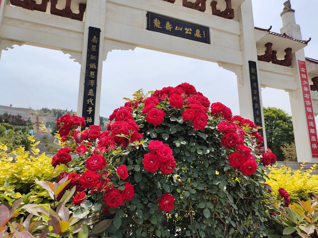 永福園、永壽園園區(qū)介紹