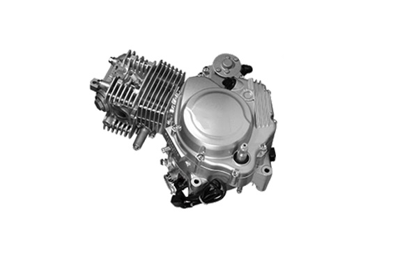 125CC Vertical Engine