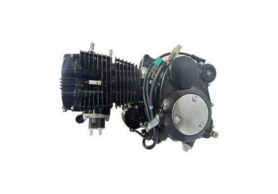 250CC Vertical Engine