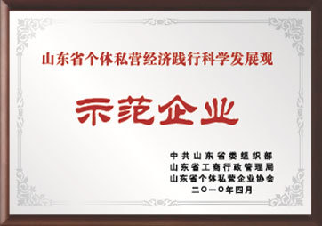 山東省個(gè)體私營(yíng)經(jīng)濟(jì)踐行科學(xué)發(fā)展觀示范企業(yè)