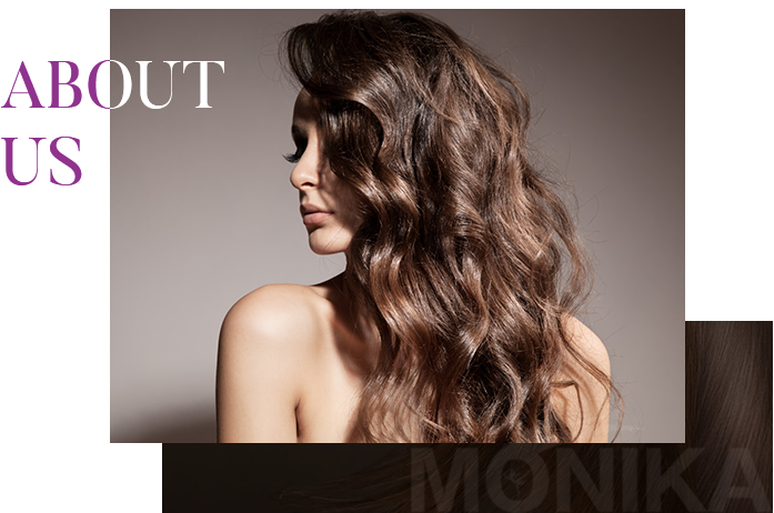 Xuchang Misnee Hair Products Co., Ltd.