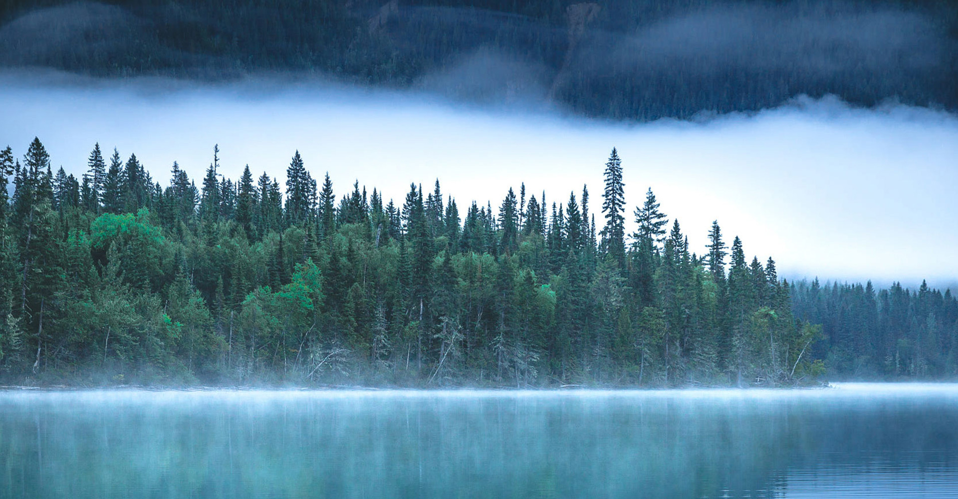 Comprehensive environmental monitoring