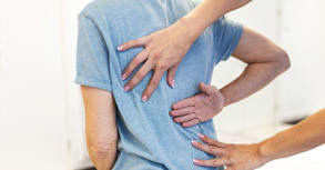 Spine
