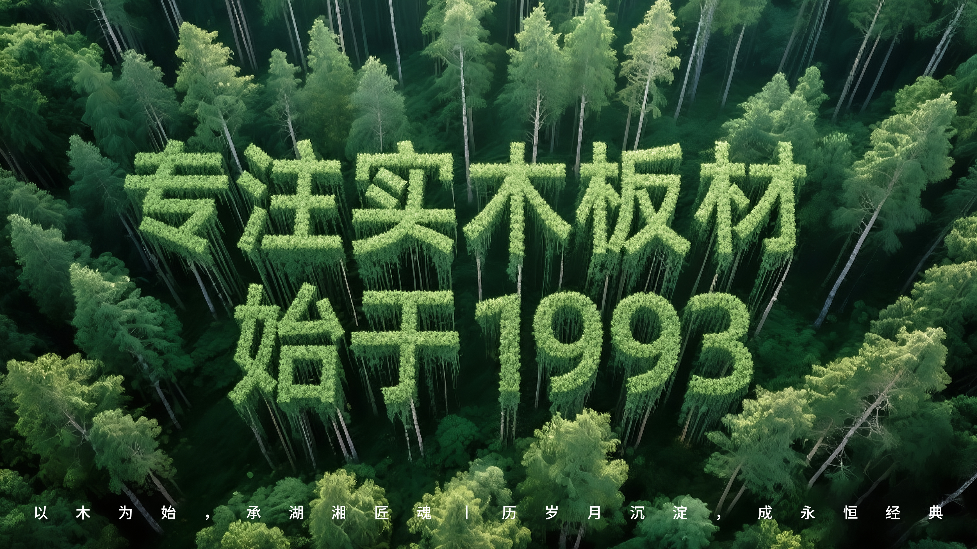 福湘木业企业宣传片