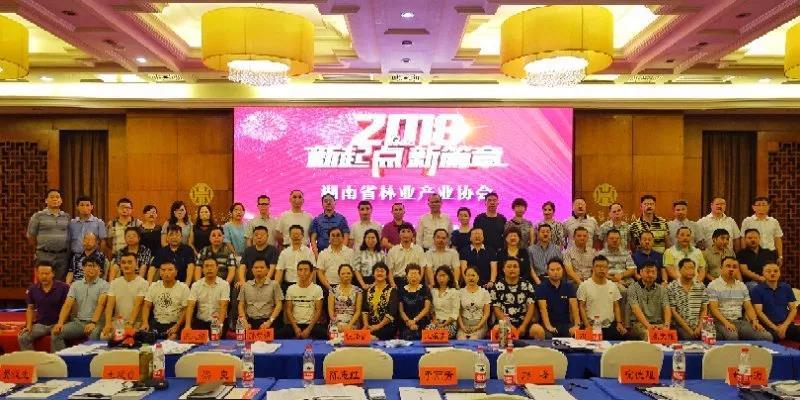 六台盒宝典资料大全2025