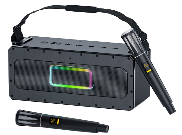 D5  (with 2 microphone)