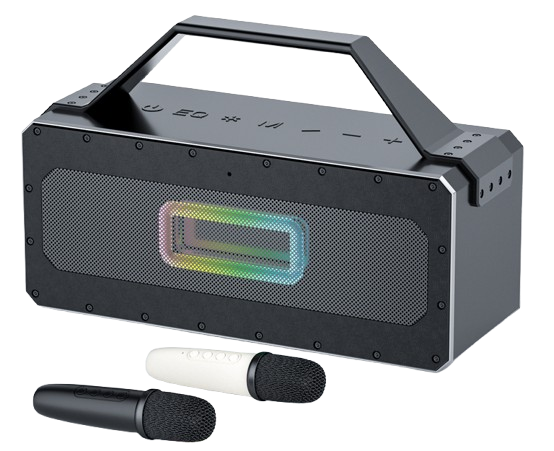 D5-Handheld  (with 2 microphone)
