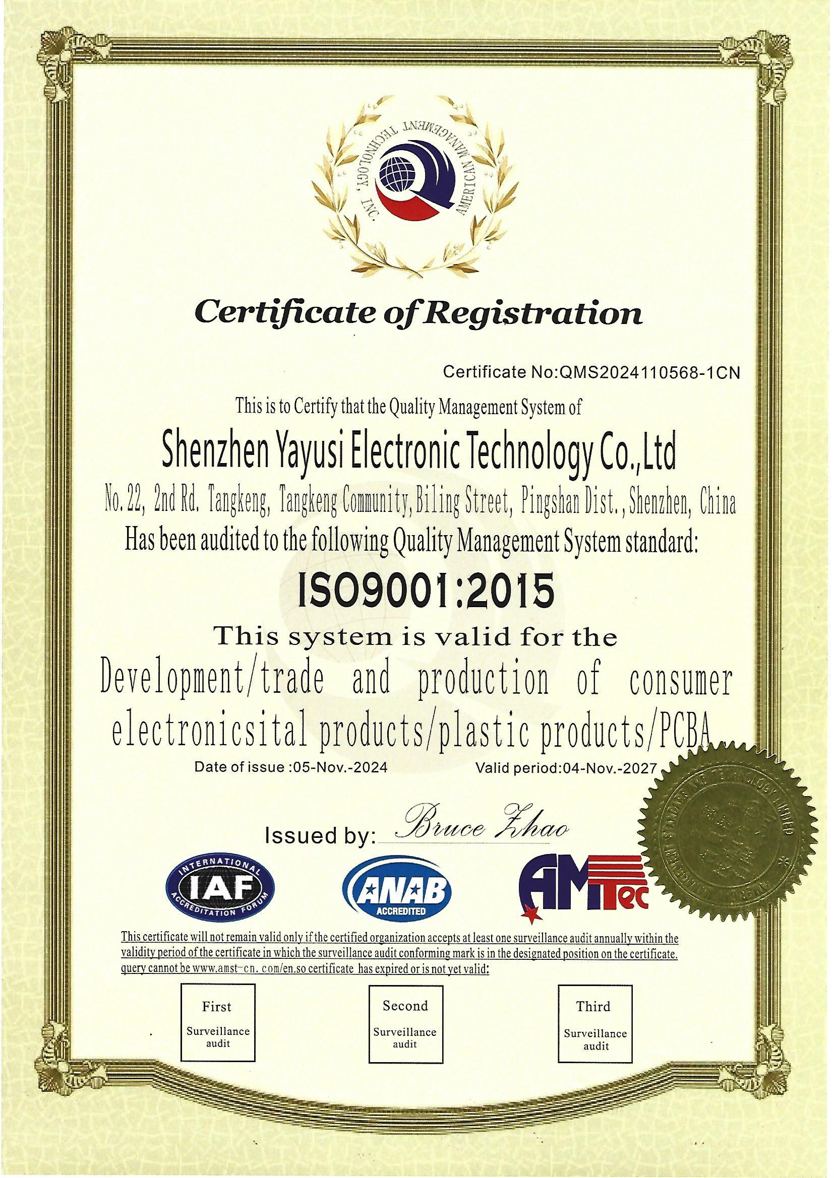 ISO 20241118