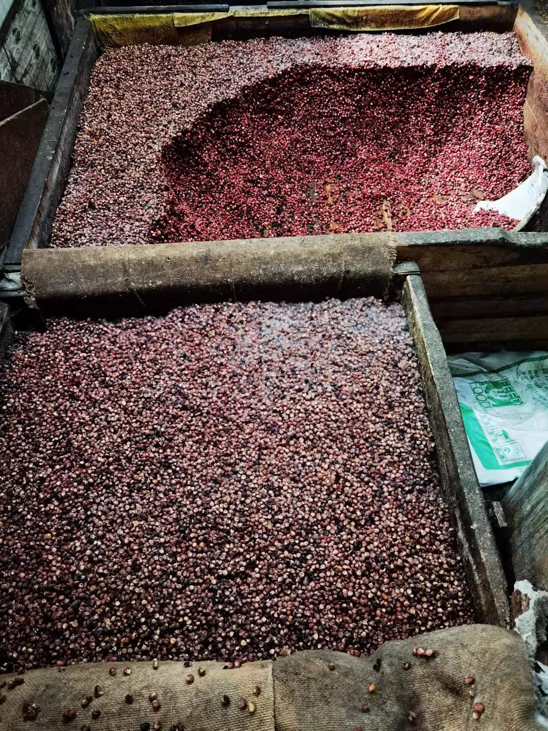 糖化發(fā)酵 糖化發(fā)酵