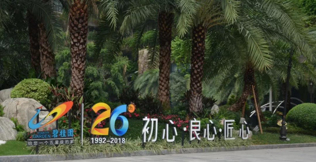 碧桂園參觀交流