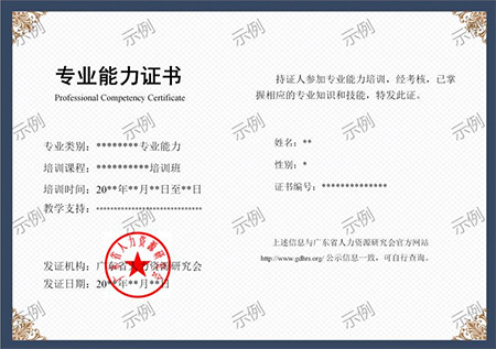 專(zhuān)業(yè)能力證書(shū) 專(zhuān)業(yè)能力證書(shū)