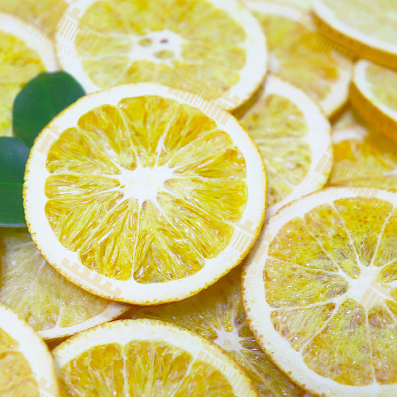 Freeze Dried Orange Slices