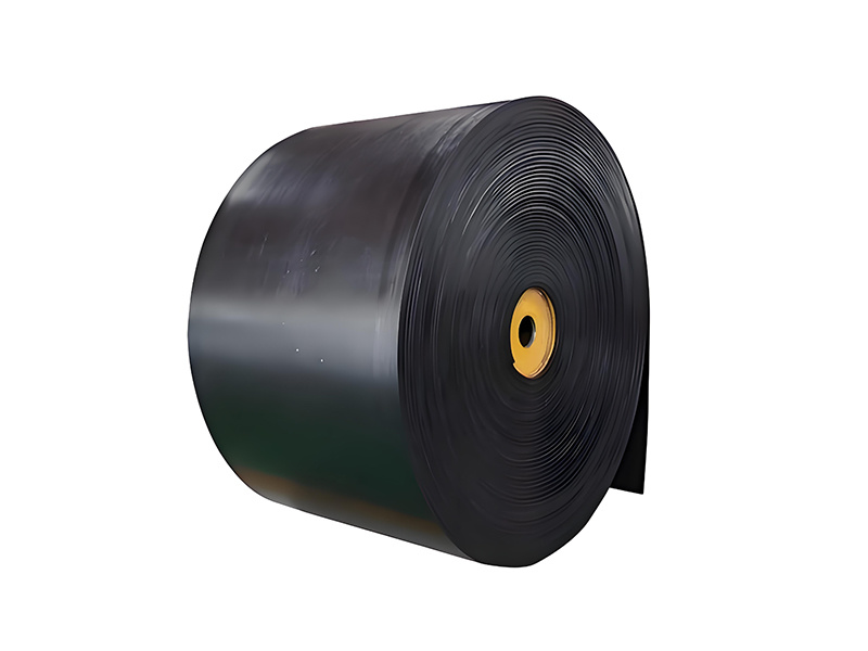 Steel cord conveyor belt