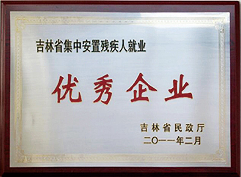 優(yōu)秀企業(yè) 優(yōu)秀企業(yè)