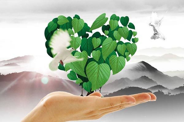 省級著名商標(biāo)