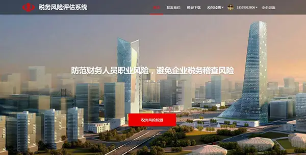 成功开发并上线人工智能财务及税务检测系统