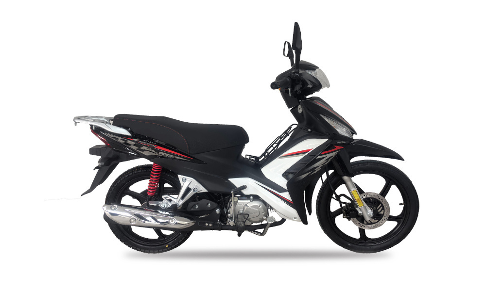 SS110-X5 (ОБВЕС)
