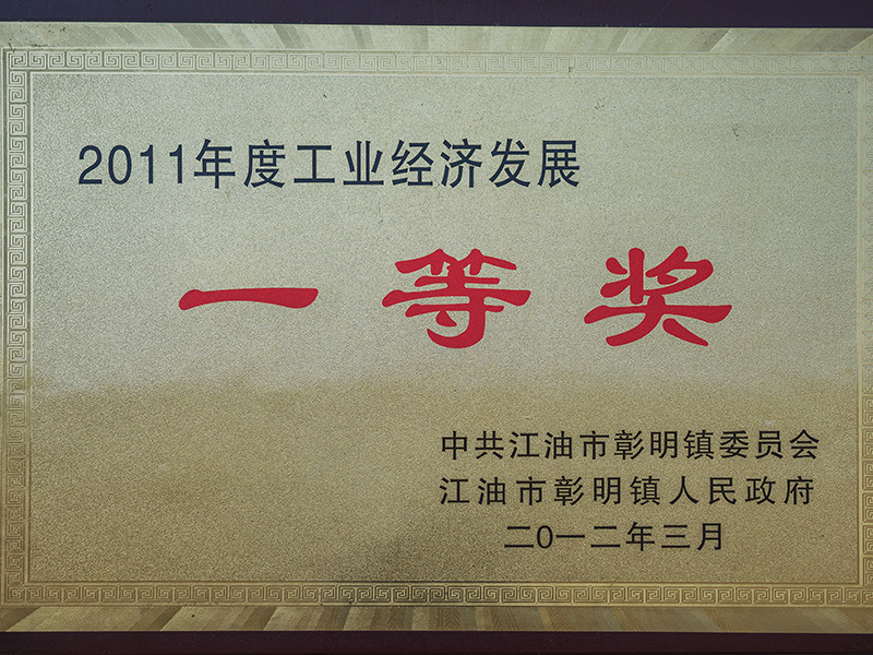 科光水电 —— 2011年度工业经济发展一等奖
