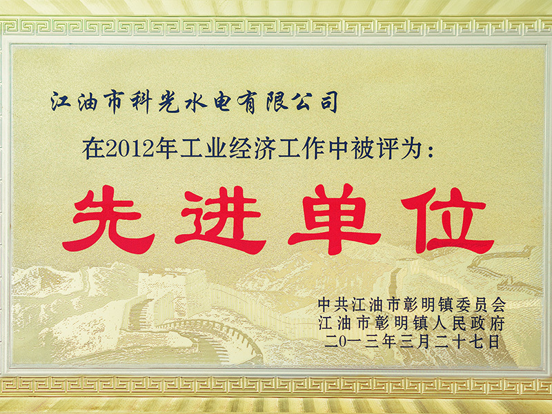 科光水电 —— 先进单位