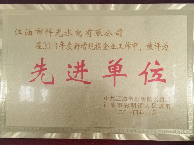 科光水电 —— 先进单位