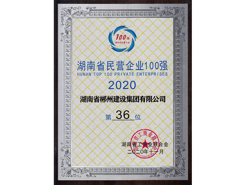 2020民營企業(yè)百強