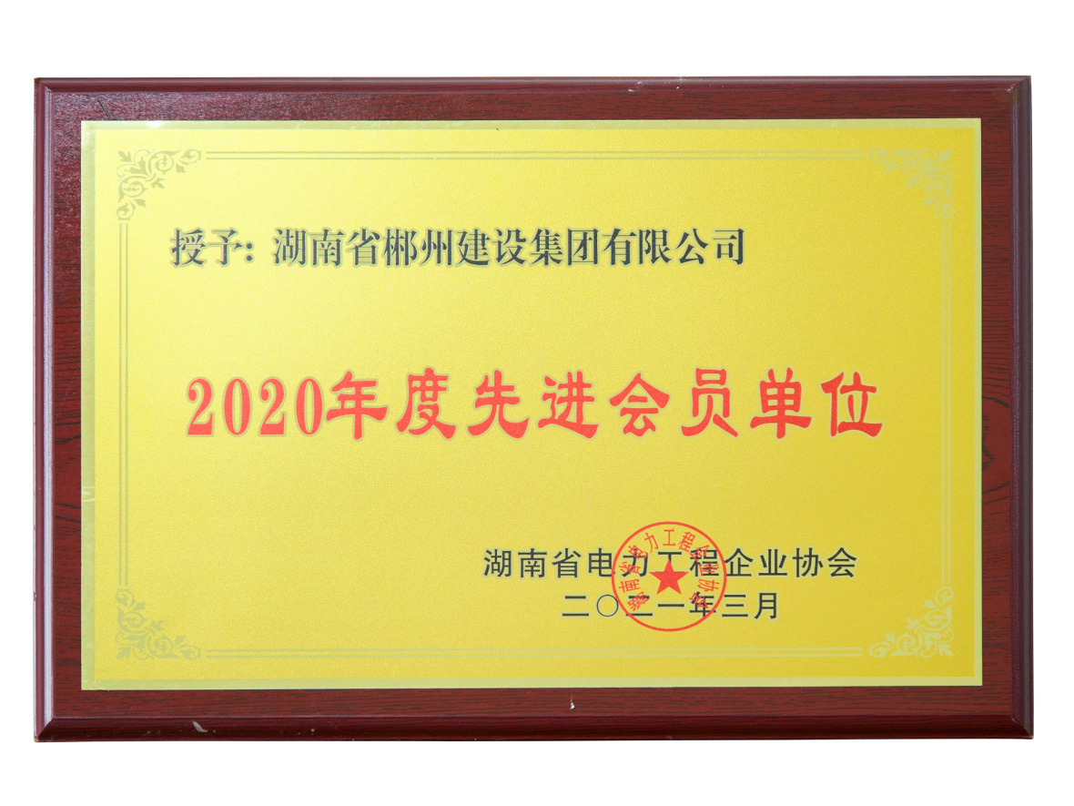 省電力協(xié)會先進單位