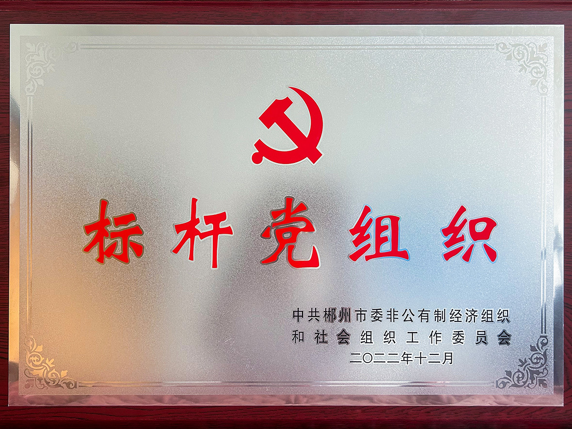 標桿黨組織（2022）