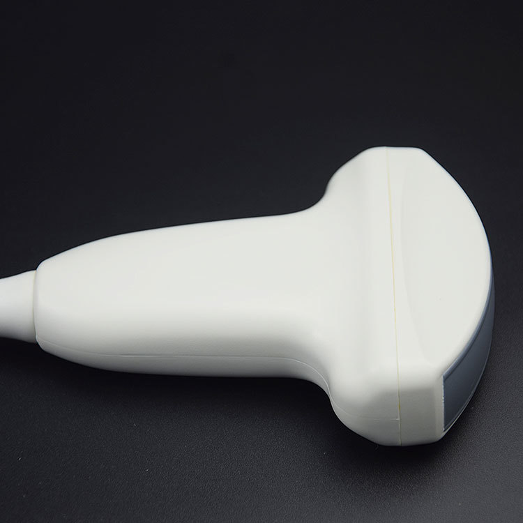 Open abdominal probe C362