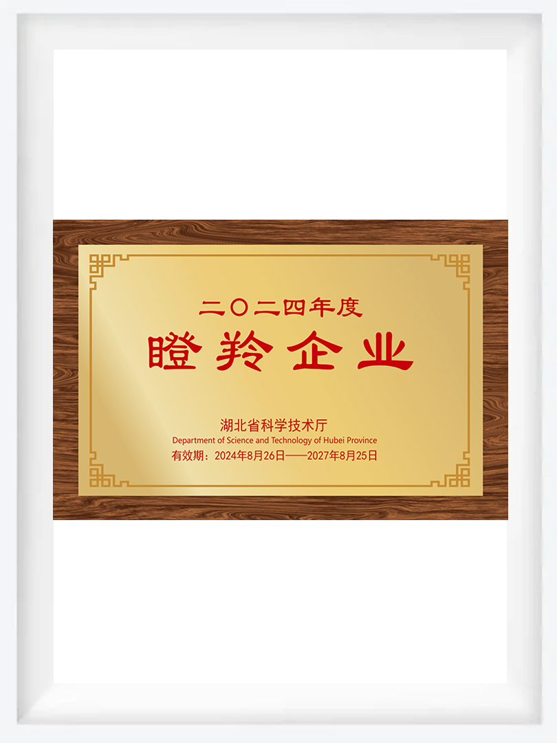 2024瞪羚企业
