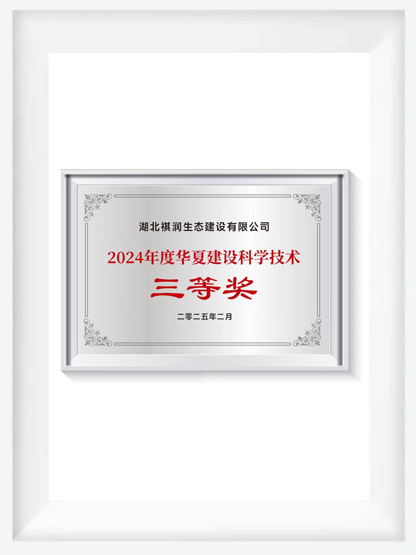2024年度华夏建设科学技术三等奖