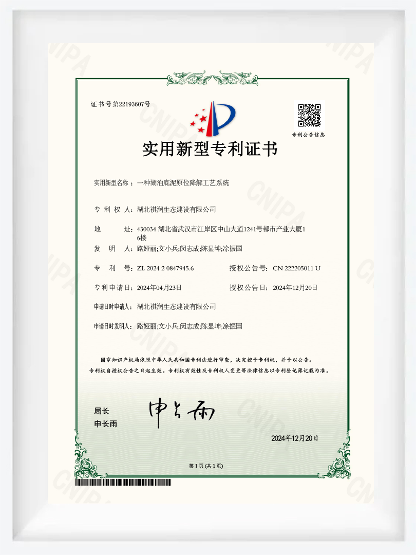 JS43- utility model patent certificate - in situ degradation process system for lake sediments JS43- utility model patent certificate - in situ degradation process system for lake sediments