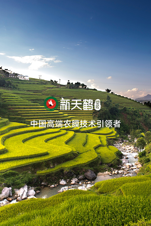 山東新天鶴塑膠有限公司 山東新天鶴塑膠有限公司