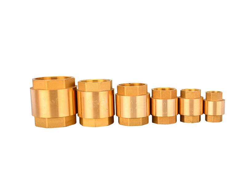 Brass vertical check valve