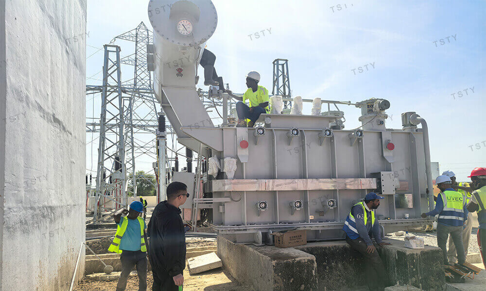 TSTY Electric Co., Ltd.