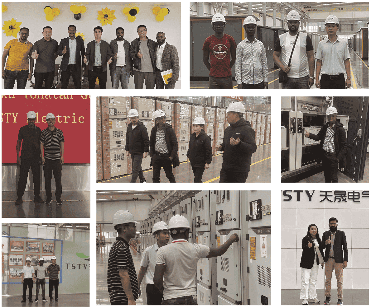 TSTY Electric Co., Ltd.