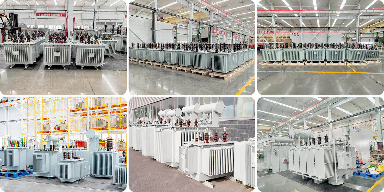 TSTY Electric Co., Ltd.