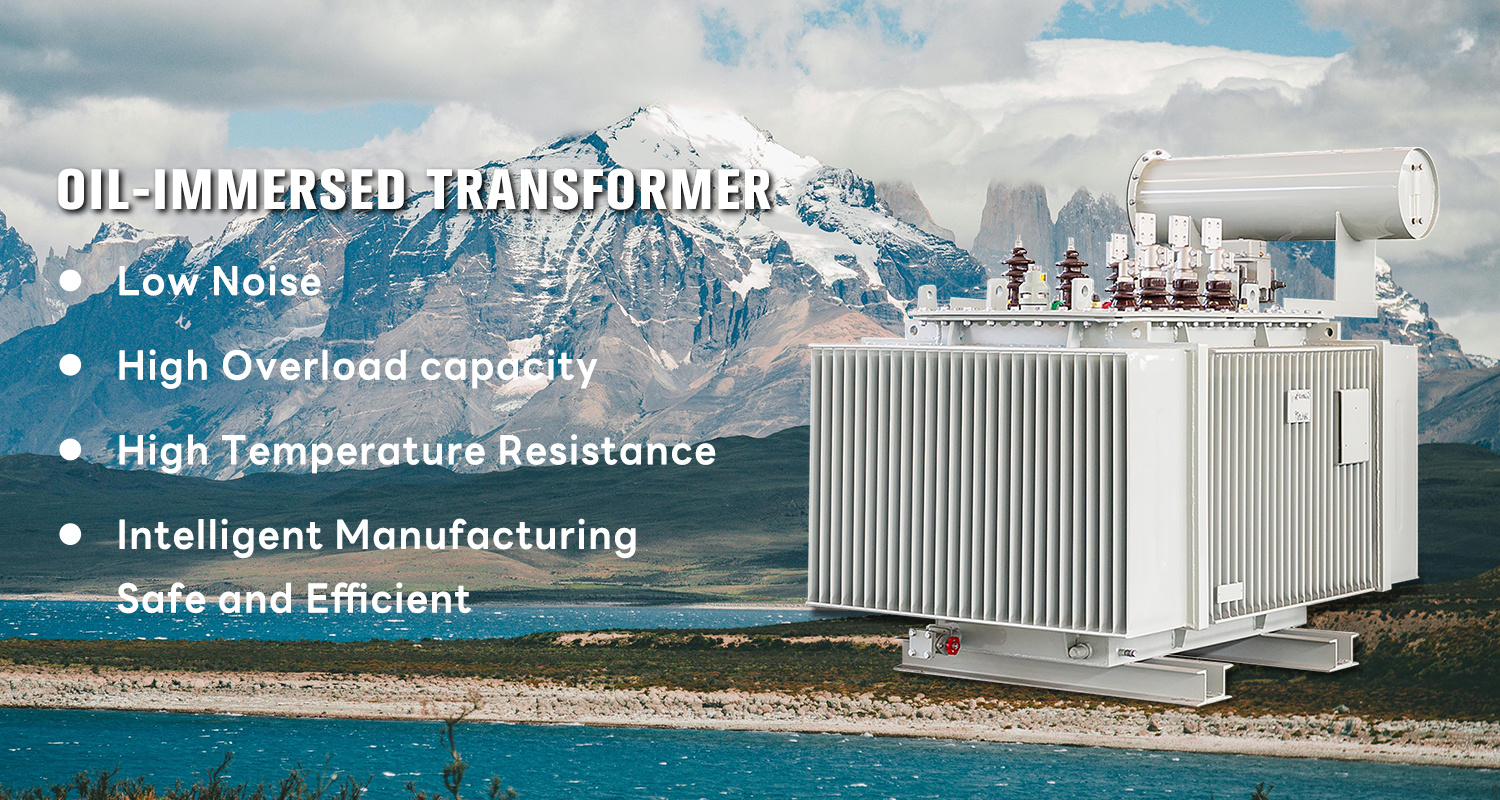 oil-immersed transformer