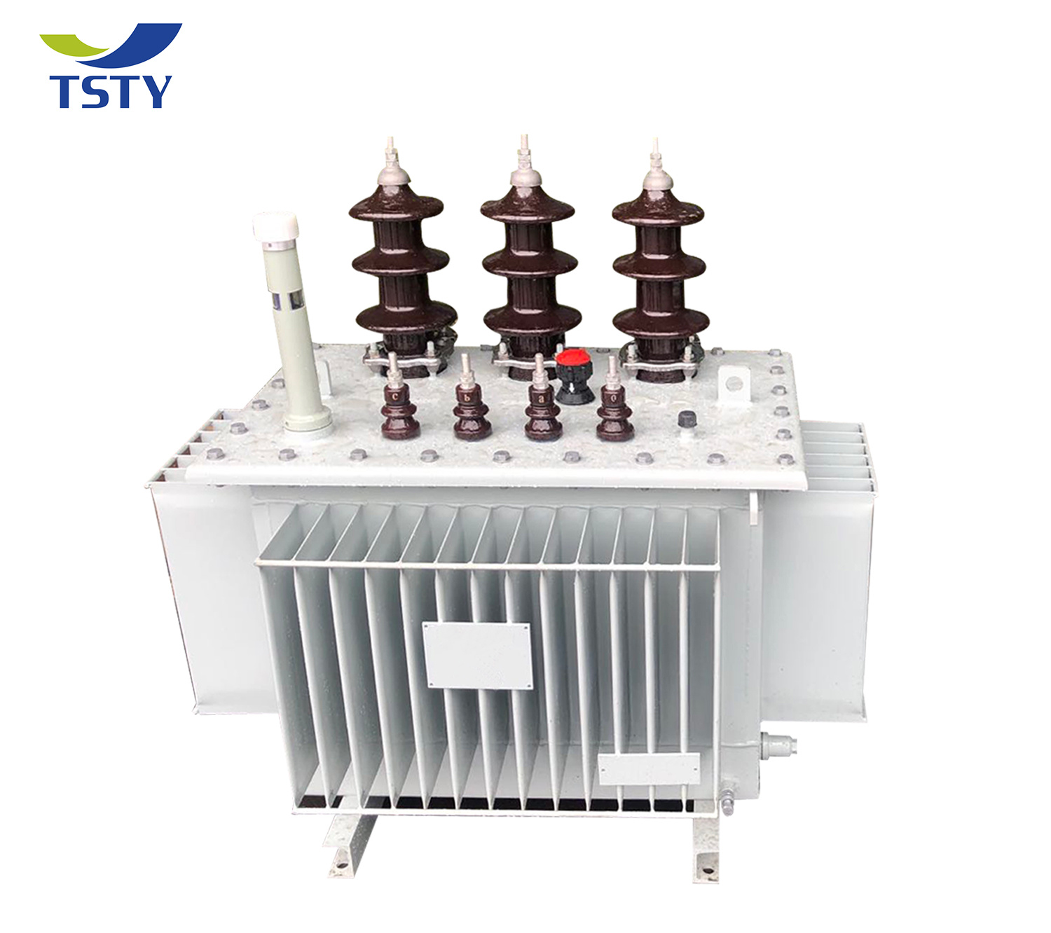 6.6KV Oil Immersed Power Distribution Transformer