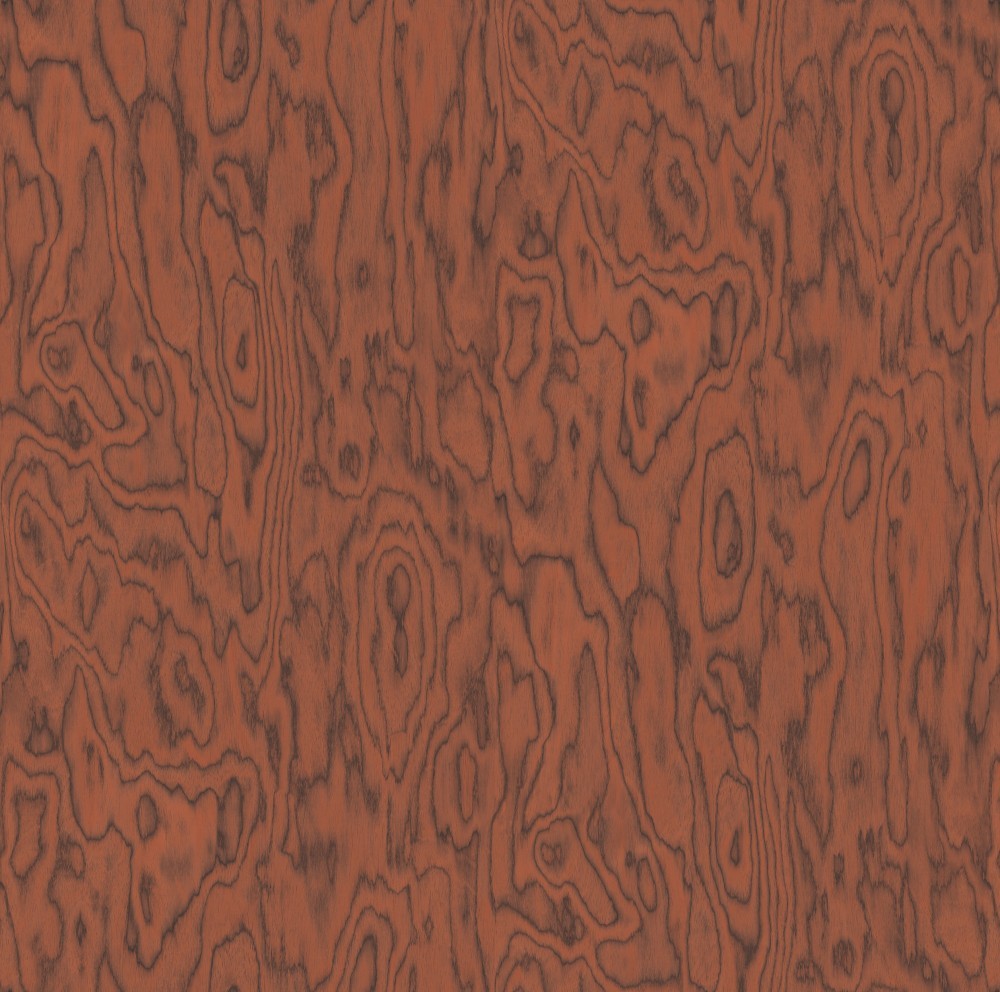 10116